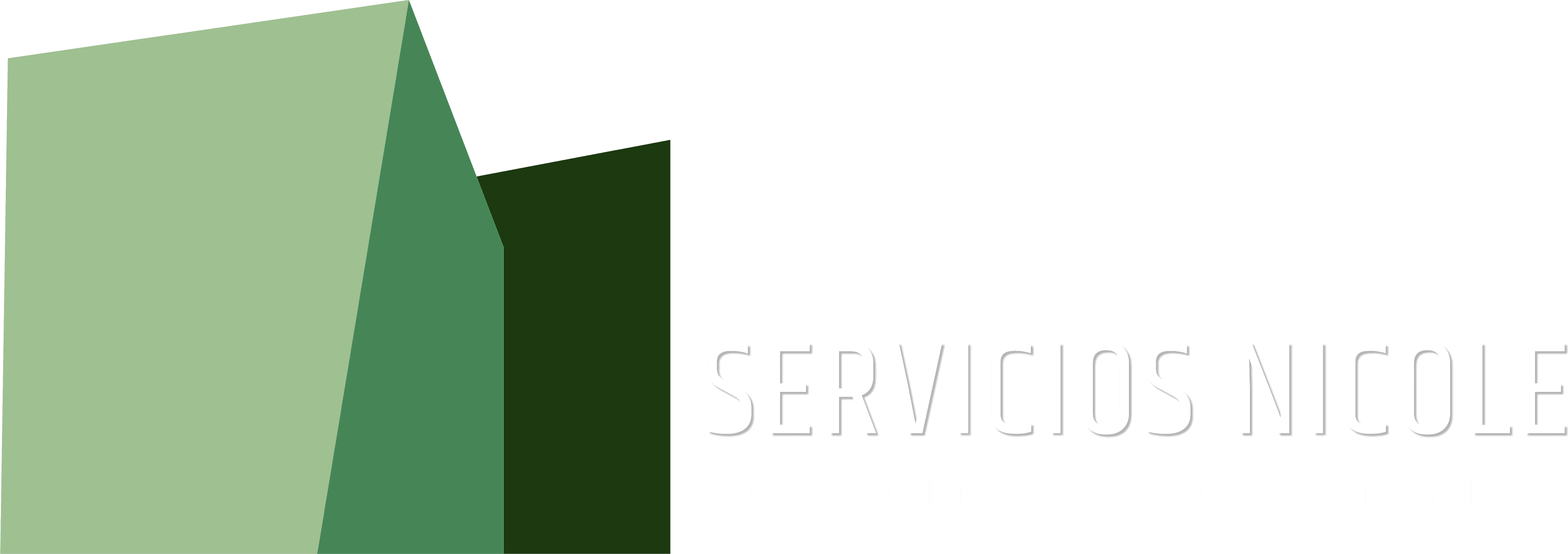 Servicios Nicole